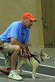 IMG_8528
