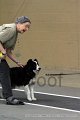 IMG_8532