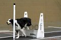IMG_8546