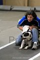 IMG_8554