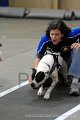 IMG_8555