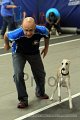 IMG_8560
