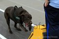 IMG_8587
