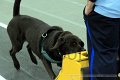 IMG_8588