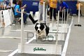 IMG_8593