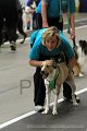 IMG_8650