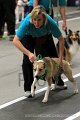 IMG_8651