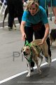 IMG_8652