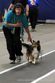 IMG_8653