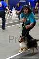 IMG_8655