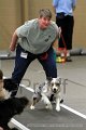 IMG_8679
