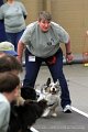 IMG_8681