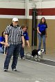 IMG_8727