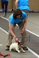 IMG_8729