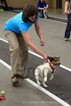 IMG_8740