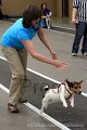 IMG_8741