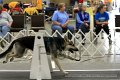 IMG_8756