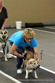 IMG_8766