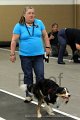 IMG_8771