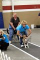 IMG_8785