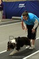 IMG_8801