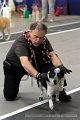 IMG_8804