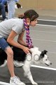 IMG_8815