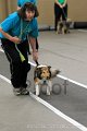 IMG_8837