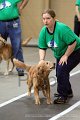 IMG_8843