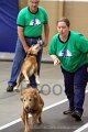IMG_8845
