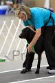 IMG_8849