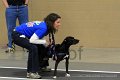 IMG_8860