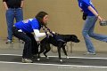 IMG_8862