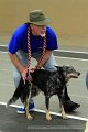 IMG_8868