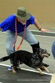 IMG_8870