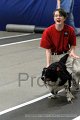IMG_8946
