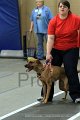 IMG_8947