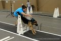 IMG_8958