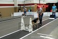 IMG_8959