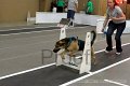IMG_8960