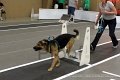 IMG_8961