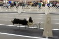 IMG_9016