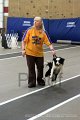 IMG_9031