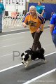 IMG_9032