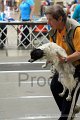 IMG_9034