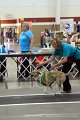 IMG_9037