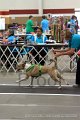 IMG_9046