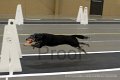 IMG_0818