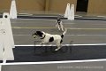 IMG_0826