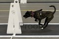 IMG_0836